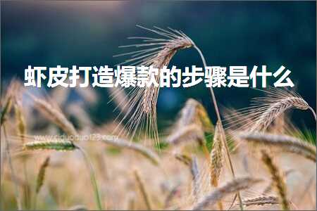 网站推广有哪些方法 跨境电商知识:虾皮打造爆款的步骤是什么